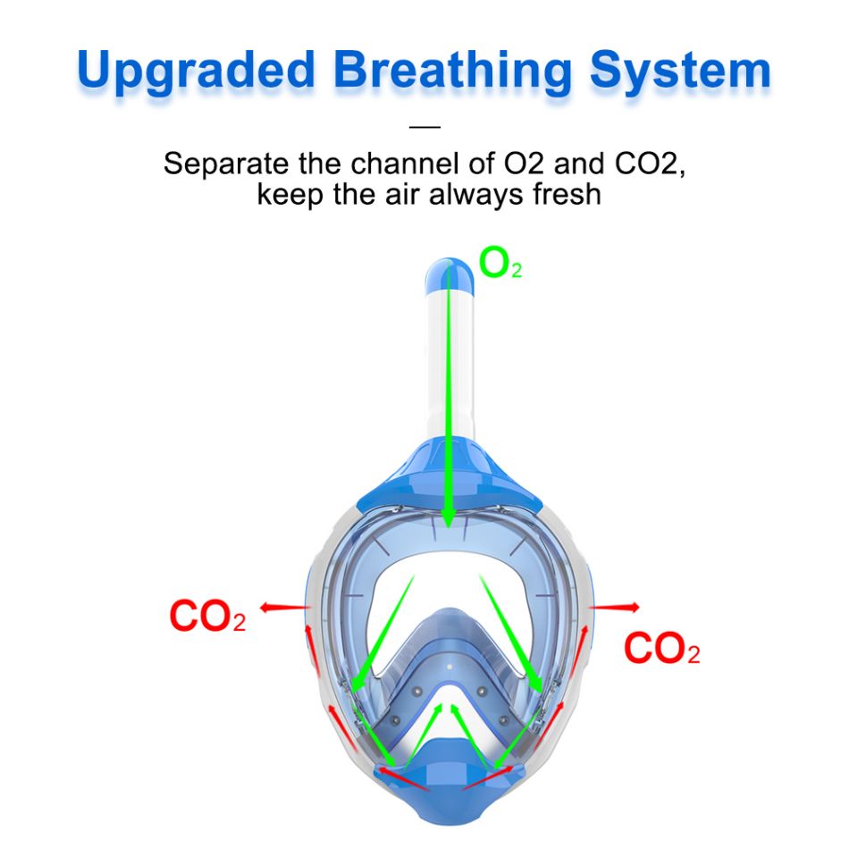 Snorkeling Mask Adults